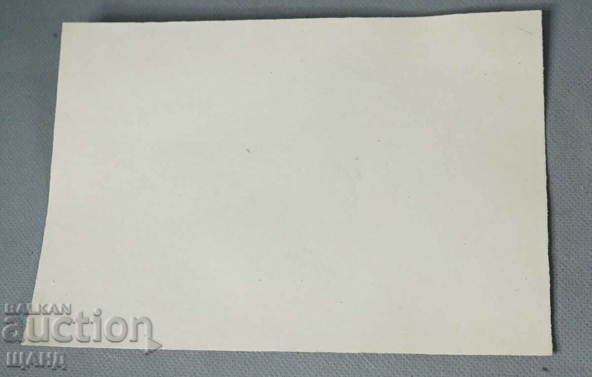 Old Master Drawing pencil project for a fairy tale with price 3.00 BGN | € 1.53 Old Master Drawing pencil project for a fairy tale with price 3.00 BGN | € 1.53