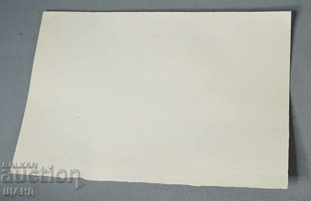 Old Master Drawing pencil project for a fairy tale with price 3.00 BGN | € 1.53 Old Master Drawing pencil project for a fairy tale with price 3.00 BGN | € 1.53