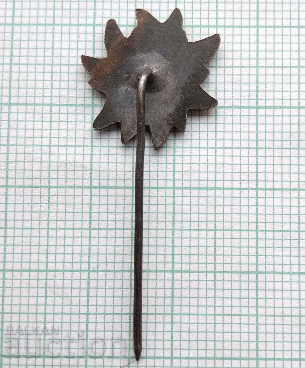 Auction 16706 Badge - Druzhestvo Aleko Sofia Cherni Vrah BTS Auction 16706 Badge - Druzhestvo Aleko Sofia Cherni Vrah BTS