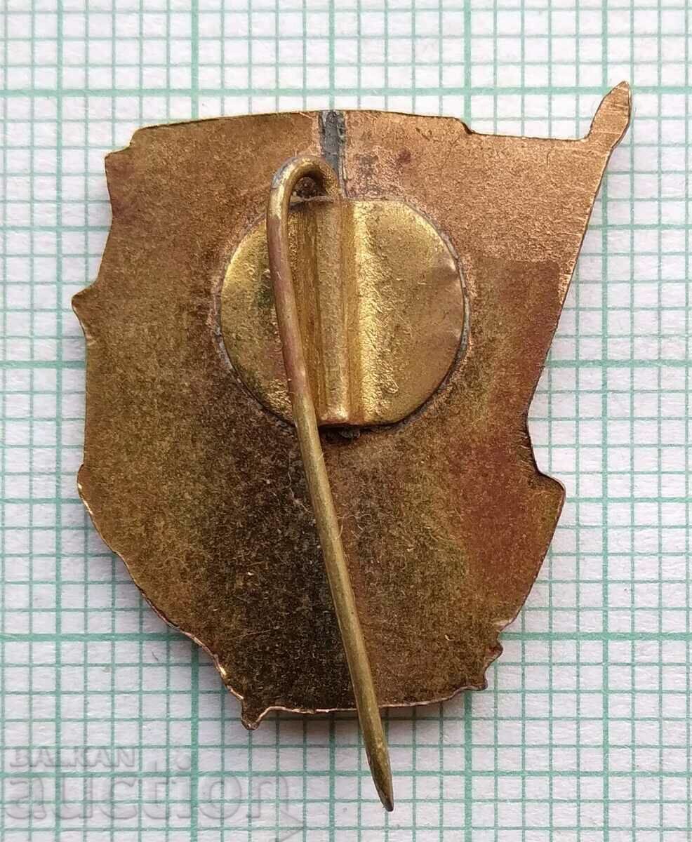 Auction 16713 Badge - 50 years PS of construction workers Auction 16713 Badge - 50 years PS of construction workers