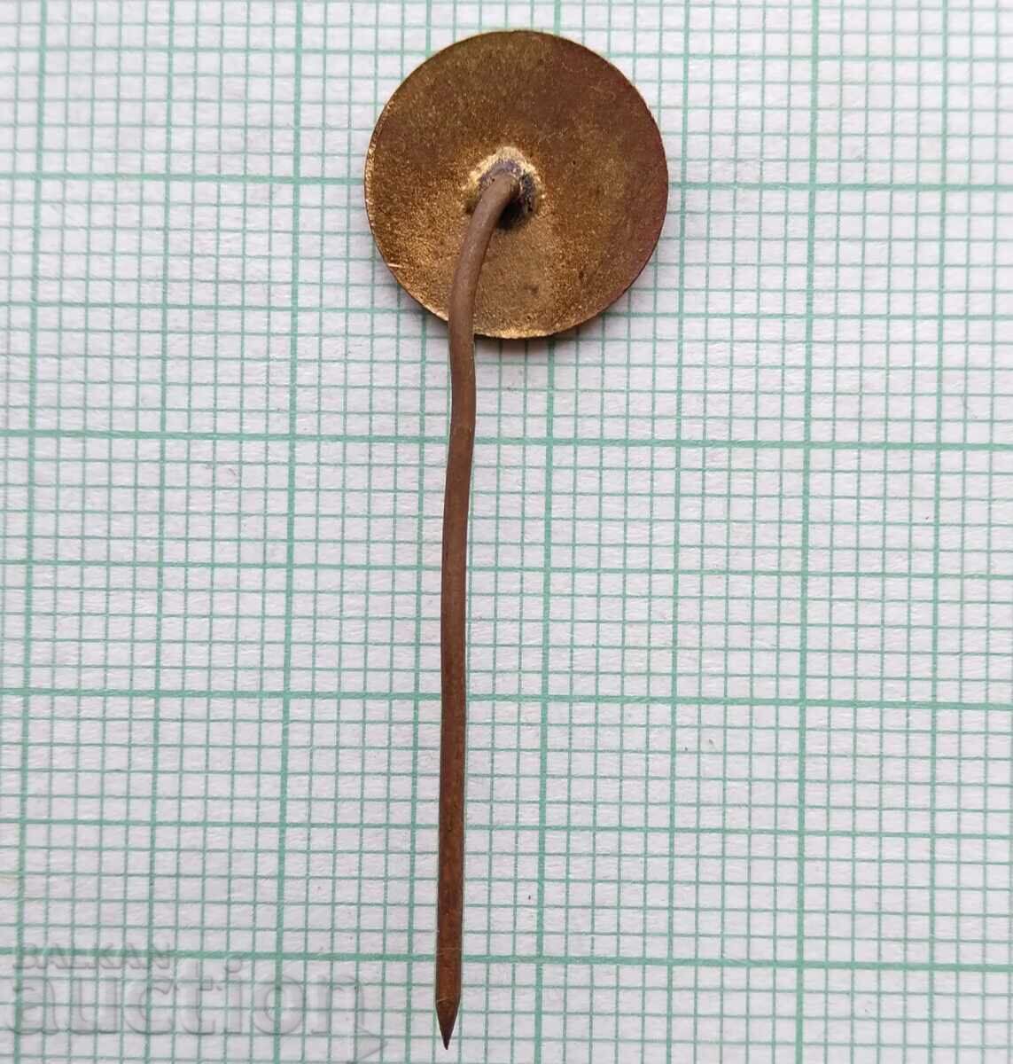 Auction 16716 Badge - Nipkire DSO Resprom - bronze enamel Auction 16716 Badge - Nipkire DSO Resprom - bronze enamel