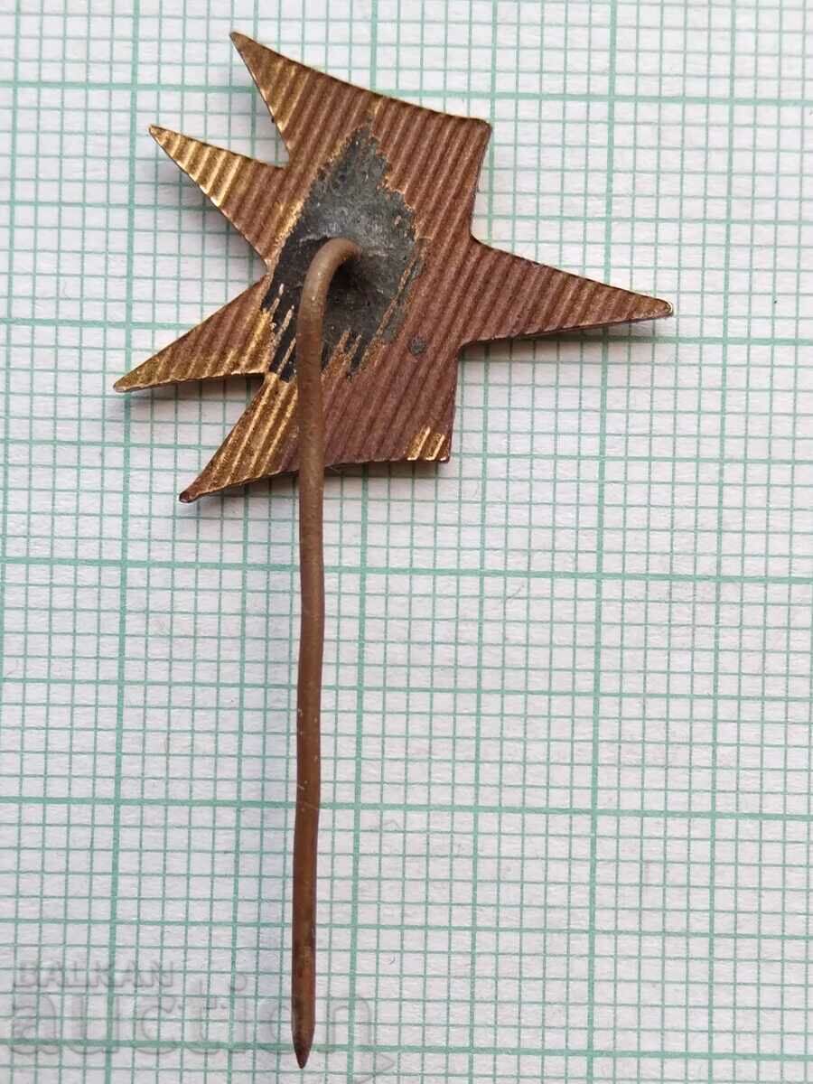 Auction 16736 Badge - BGA Balkan airline - bronze enamel Auction 16736 Badge - BGA Balkan airline - bronze enamel