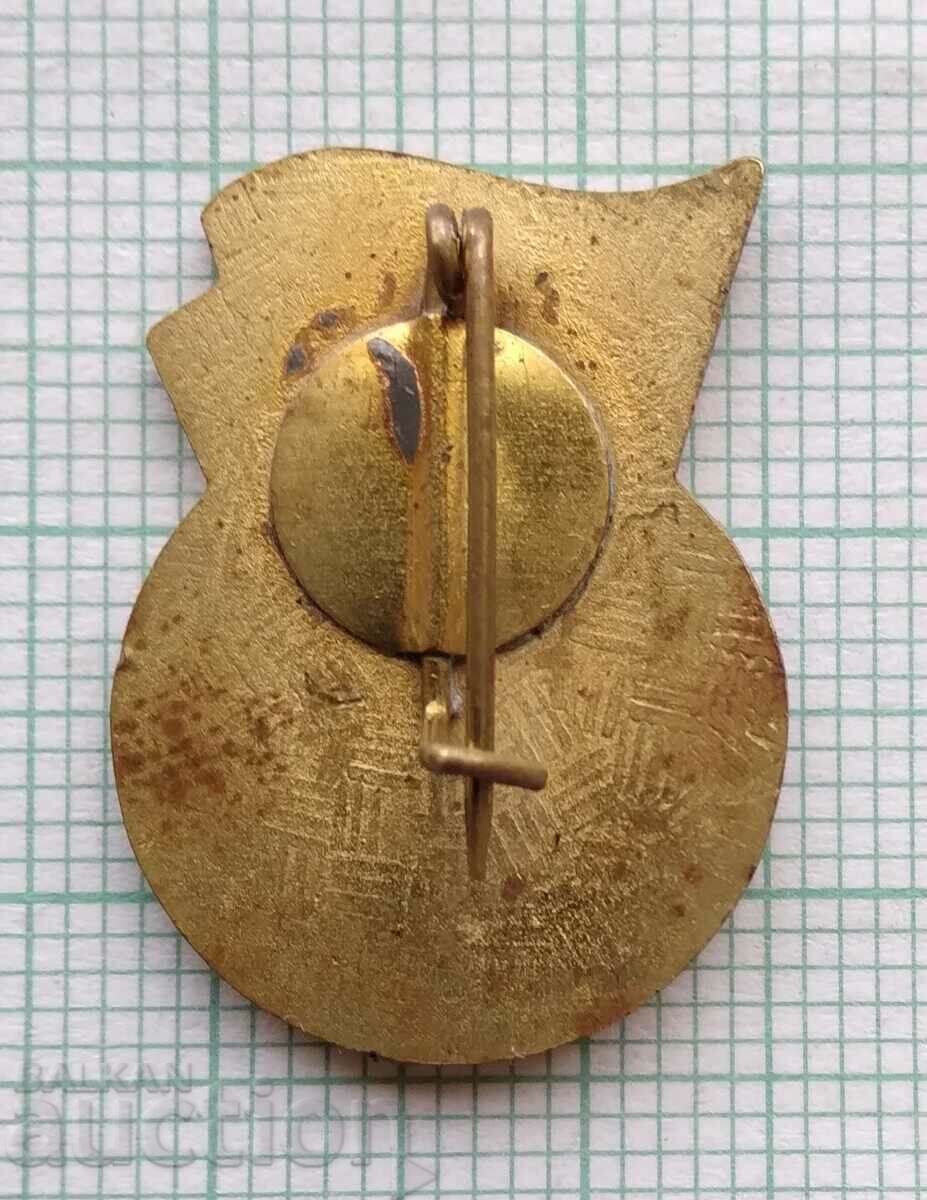 Auction 16743 Badge - 50 years of the Red Flag of Hungary Auction 16743 Badge - 50 years of the Red Flag of Hungary