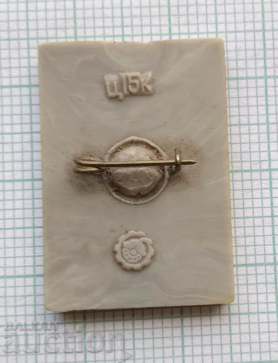 Licitație 16758 Insigna - 3D Stereo