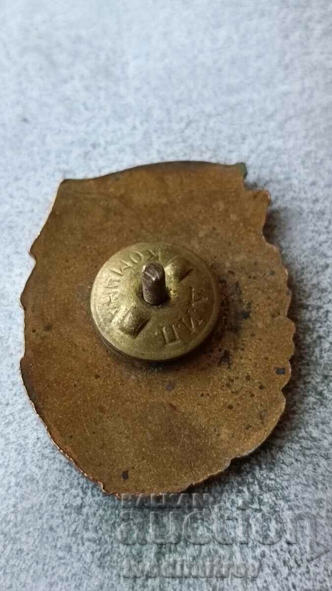 Badge Distinguished in Combat and Gender. preparation III st. with price 8.85 BGN | € 4.52 Badge Distinguished in Combat and Gender. preparation III st. with price 8.85 BGN | € 4.52