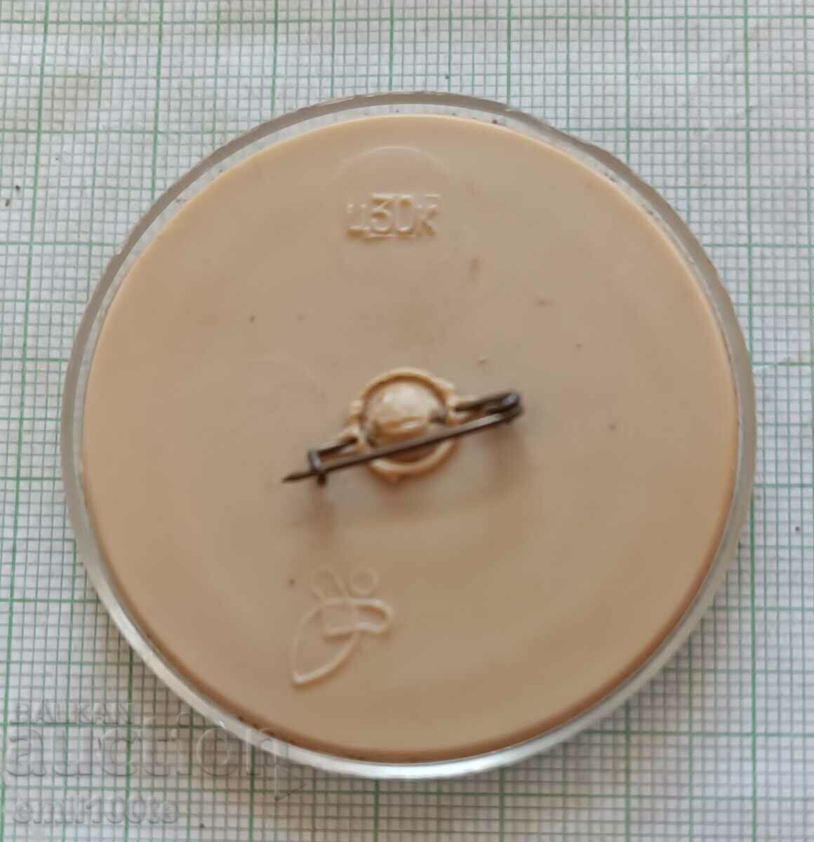 Badge - Moscow Olympics 80 Misha - 5 Badge - Moscow Olympics 80 Misha - 5