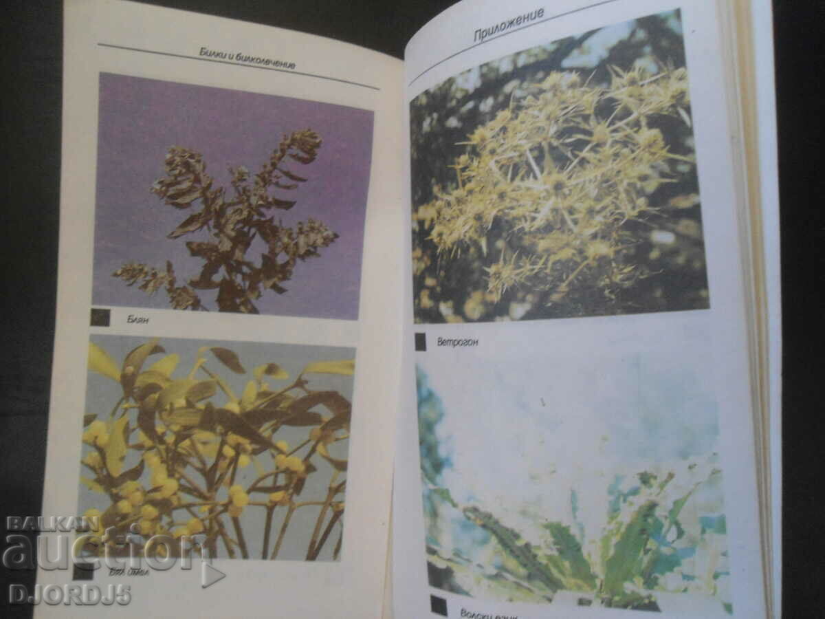 Доставка на Билки и билколечение Доставка на Билки и билколечение