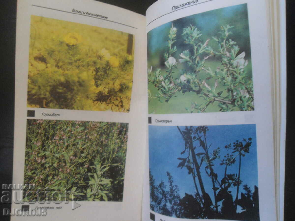 Билки и билколечение - 5 Билки и билколечение - 5