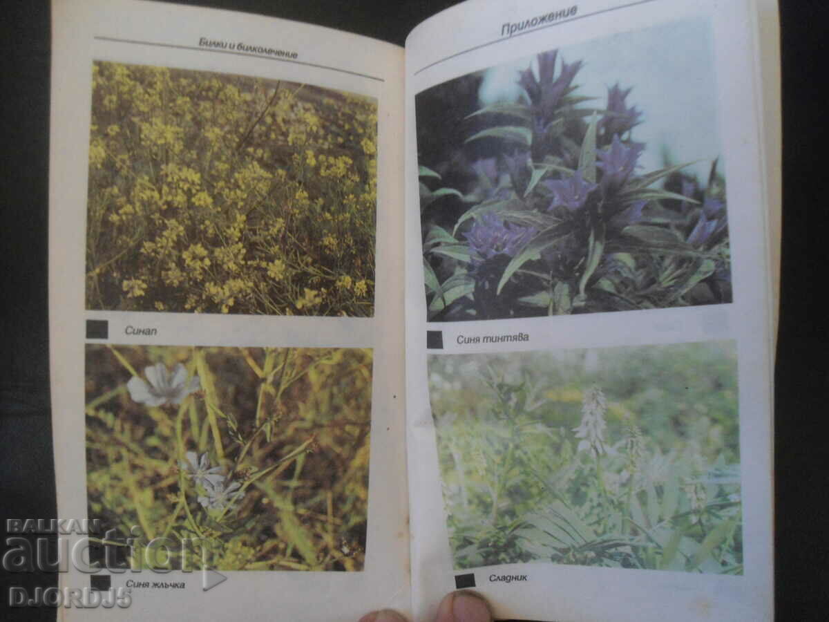 Билки и билколечение - 7 Билки и билколечение - 7