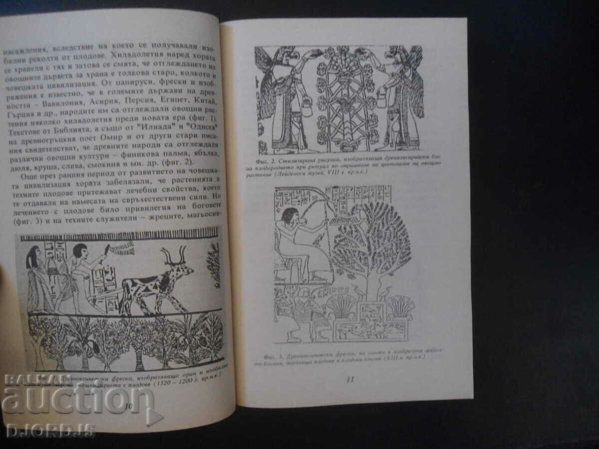 Παράδοση Φρούτα περιποίησης και καλλυντικά Παράδοση Φρούτα περιποίησης και καλλυντικά