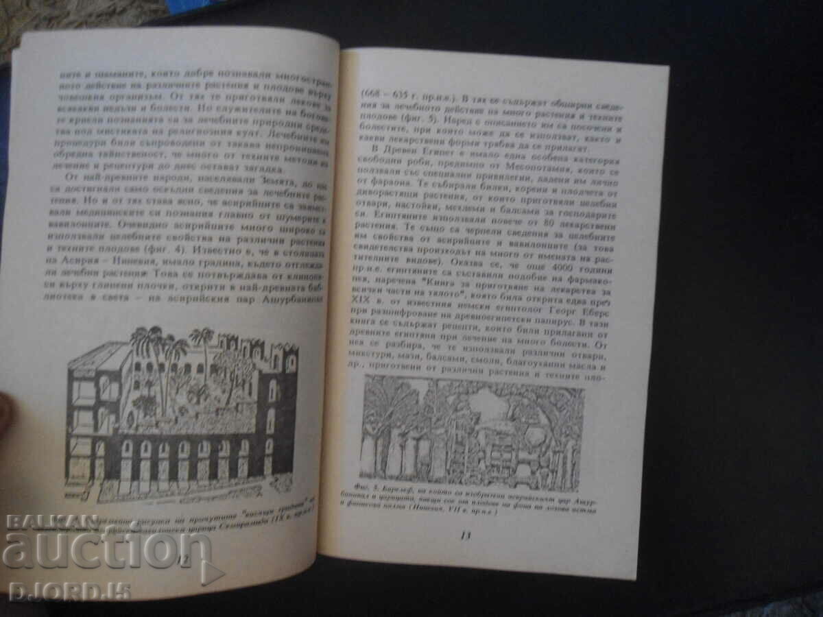 Φρούτα περιποίησης και καλλυντικά - 5 Φρούτα περιποίησης και καλλυντικά - 5