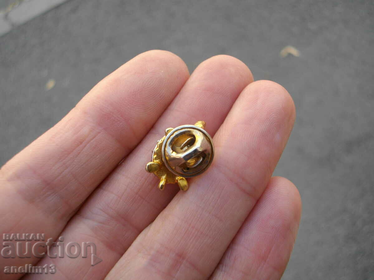 Delivery of TURTLE BADGE BROOCH Delivery of TURTLE BADGE BROOCH