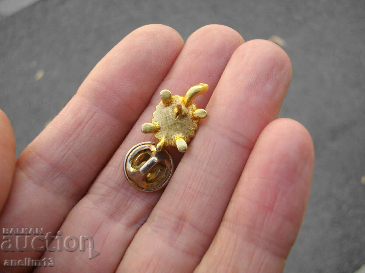 ΚΡΕΦΦΑ ΚΑΡΦΙΛΑ ΣΤΟΝΧΑ ΧΕΛΩΝΑΣ - 6 ΚΡΕΦΦΑ ΚΑΡΦΙΛΑ ΣΤΟΝΧΑ ΧΕΛΩΝΑΣ - 6