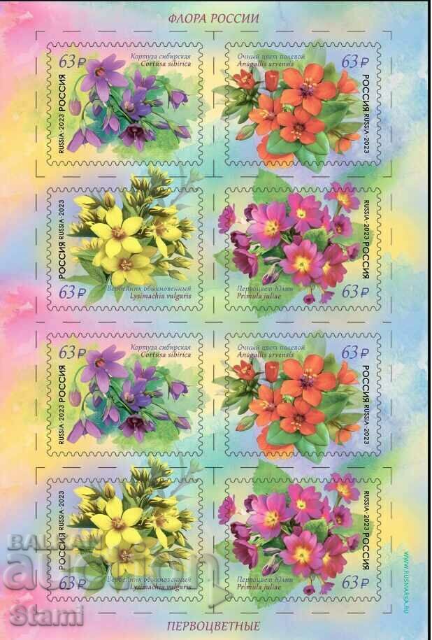 Block stamps Flora of Russia-primrose, Russia, 2023, mint with price 22.00 BGN | € 11.25 Block stamps Flora of Russia-primrose, Russia, 2023, mint with price 22.00 BGN | € 11.25