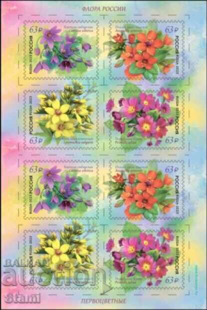 Block stamps Flora of Russia-primrose, Russia, 2023, mint