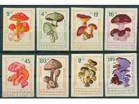 1323 Bulgaria 1961 Mushrooms (with changed colors). Nonaz. **