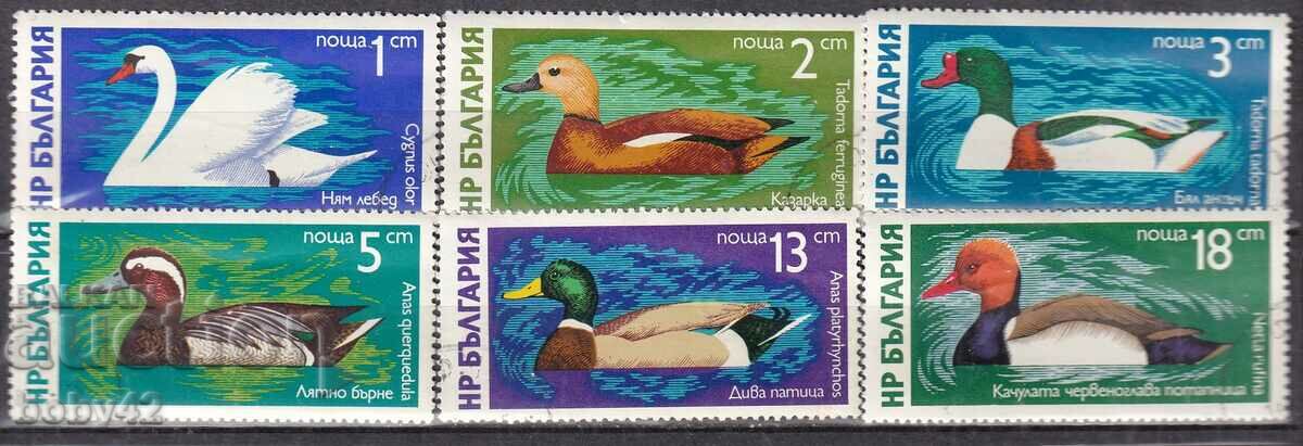 BK ,2539-2543 Waterfowl machine stamped