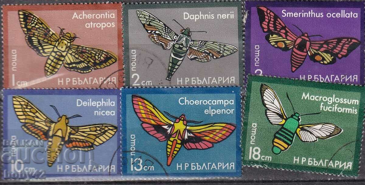 БК 2499-2504  Вечерни пеперуди ,машинно  клеймовани