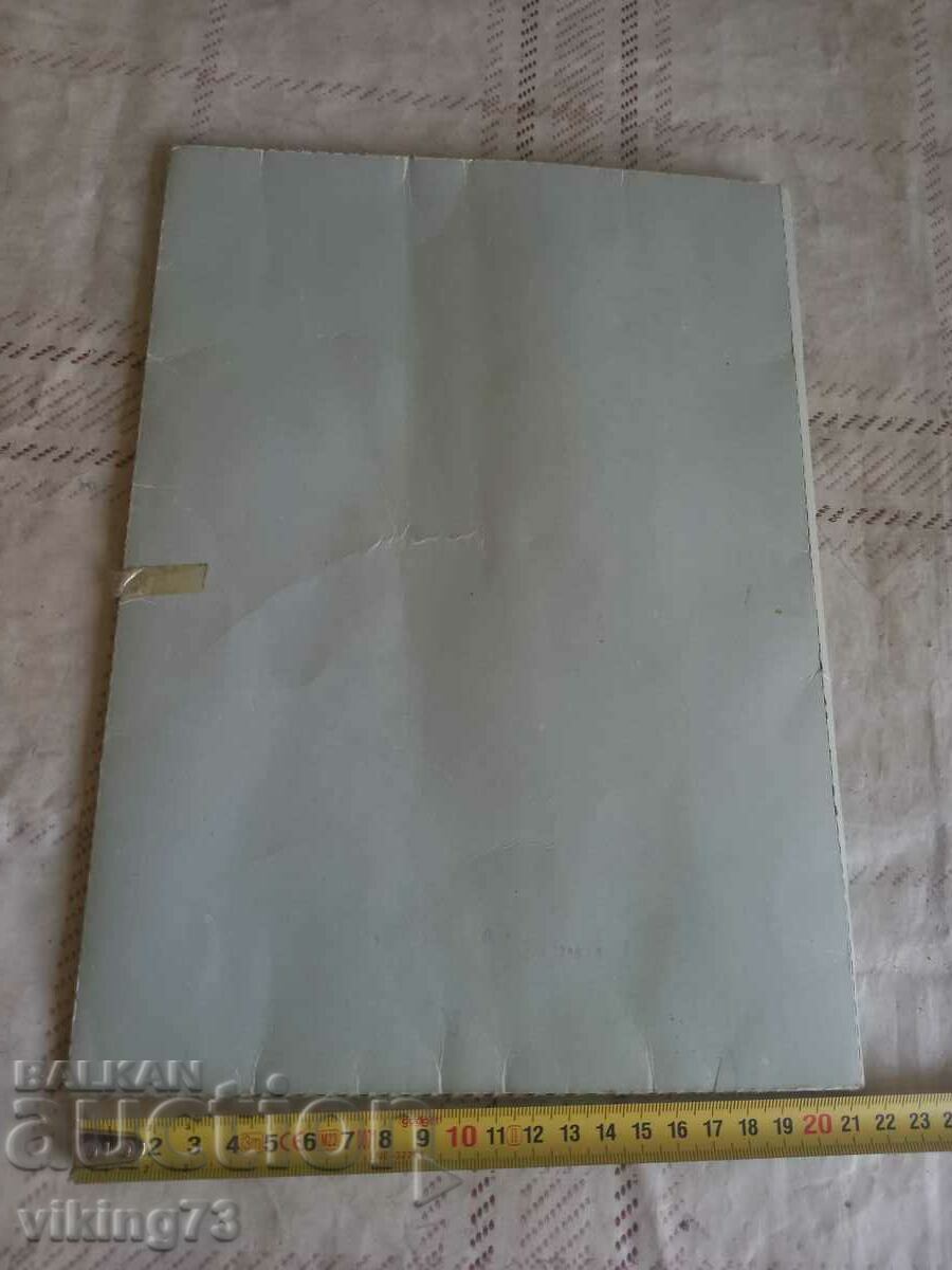 Delivery of Indigo, BG, social.