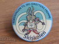 BADGE - SKI