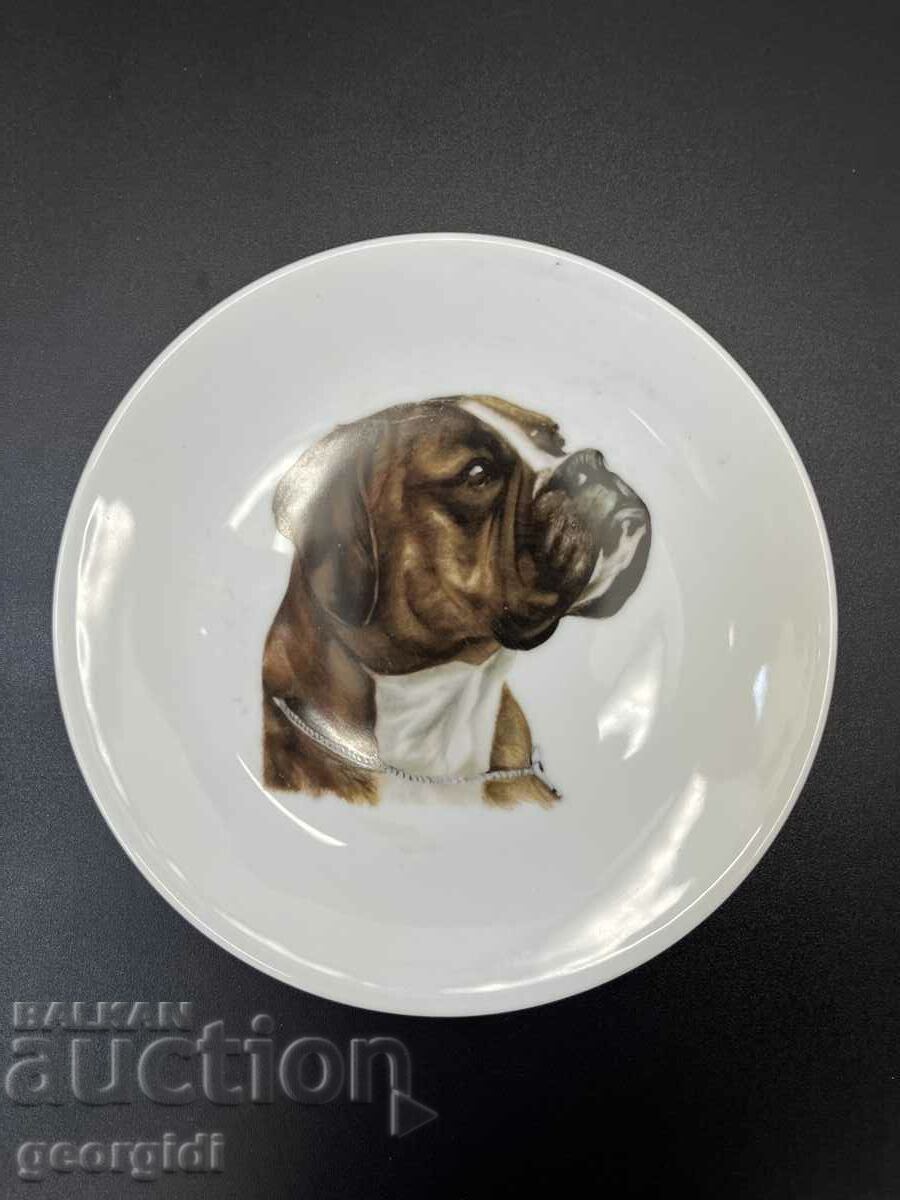 Porcelain wall plate with a dog. #5749