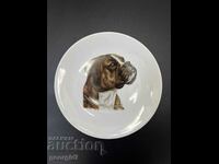 Porcelain wall plate with a dog. #5749