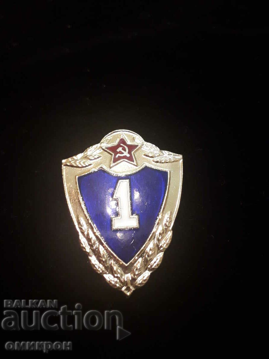 Badge "Class specialty" (ordinary composition) SA, USSR.