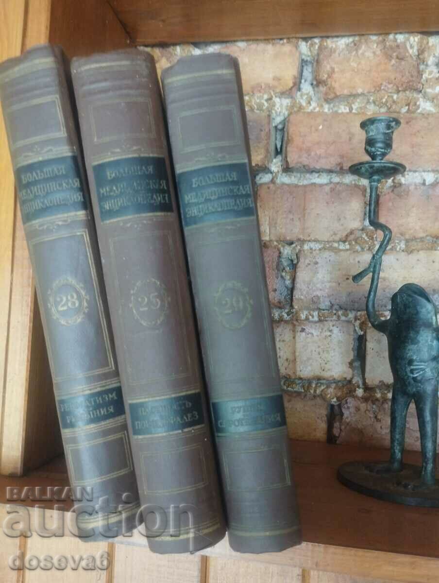 The Big Medical Encyclopedia The Big Medical Encyclopedia