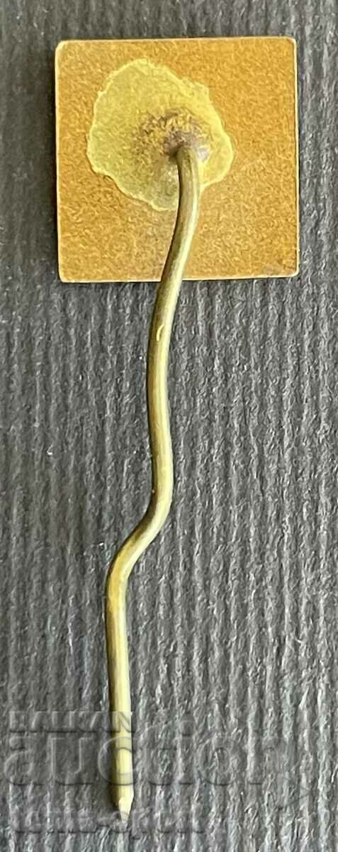 749 Bulgaria sign football club Levski Spartak enamel with price 25.00 BGN | € 12.78 749 Bulgaria sign football club Levski Spartak enamel with price 25.00 BGN | € 12.78