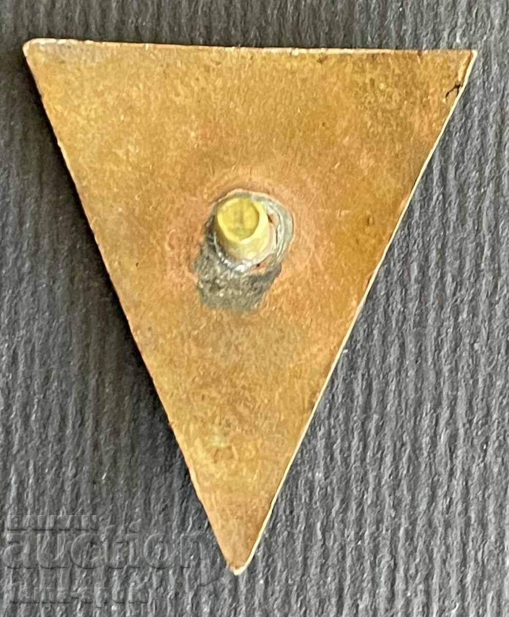 754 Kingdom of Bulgaria sign BSS Bulgarian Ski Union enamel 30's with price 30.00 BGN | € 15.34 754 Kingdom of Bulgaria sign BSS Bulgarian Ski Union enamel 30's with price 30.00 BGN | € 15.34