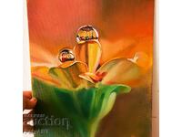 Oil painting, sunflower, 25/30 cm