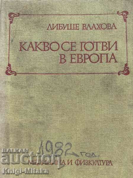 Какво се готви в Европа - Либуше Влахова