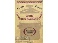 Ястия под налягане - А. Алпря, С. Солпас
