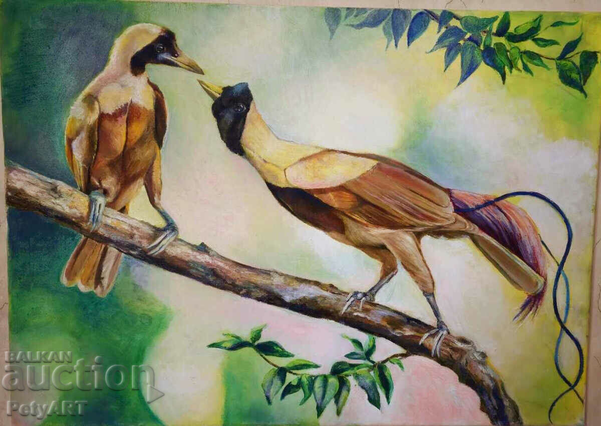 Oil painting 35/50 "Birds of Paradise"
