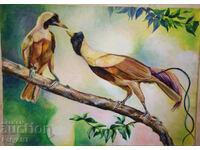 Oil painting 35/50 "Birds of Paradise"