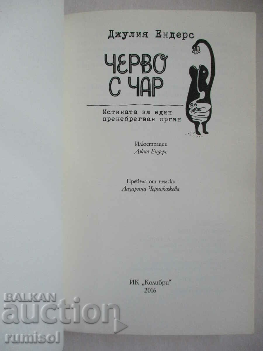 Heart with charm - Julia Enders with price 16.79 BGN | € 8.58 Heart with charm - Julia Enders with price 16.79 BGN | € 8.58