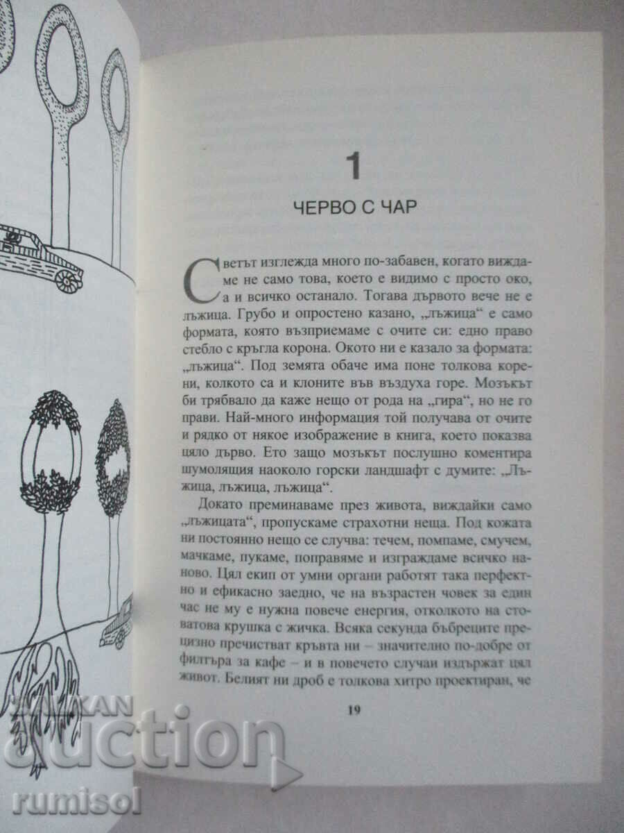 Auction Heart with charm - Julia Enders Auction Heart with charm - Julia Enders