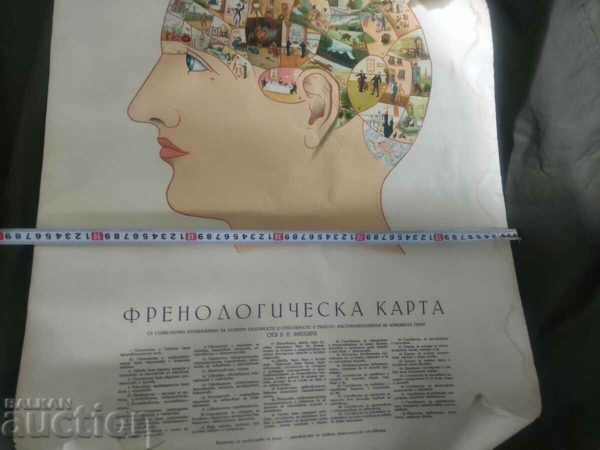 Phrenology card - 5 Phrenology card - 5