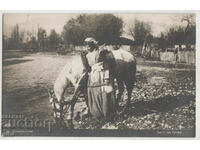 Bulgaria, Tetovska costume, untraveled