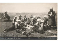 Bulgaria, Harvesters at lunch, untraveled