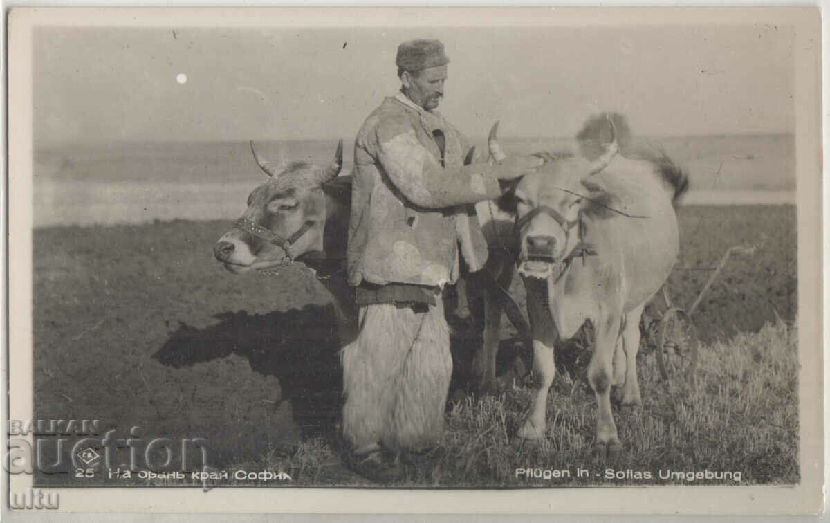 Bulgaria, On plowing near Sofia, untravelled