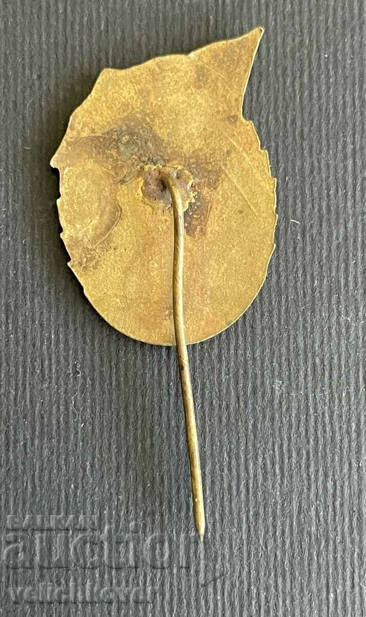 37815 Αλβανία σύμβολο 15ετ Κομμουνιστική Αλβανία σμάλτο 1944-195 με τιμή 30.00 BGN | € 15.34 37815 Αλβανία σύμβολο 15ετ Κομμουνιστική Αλβανία σμάλτο 1944-195 με τιμή 30.00 BGN | € 15.34