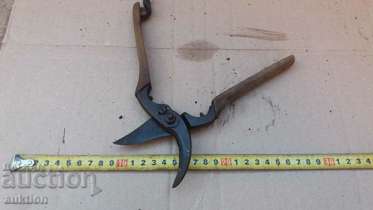 EXCELLENT VINEYARD SCISSORS - ROYAL TIME WITH MARKING - 5 EXCELLENT VINEYARD SCISSORS - ROYAL TIME WITH MARKING - 5