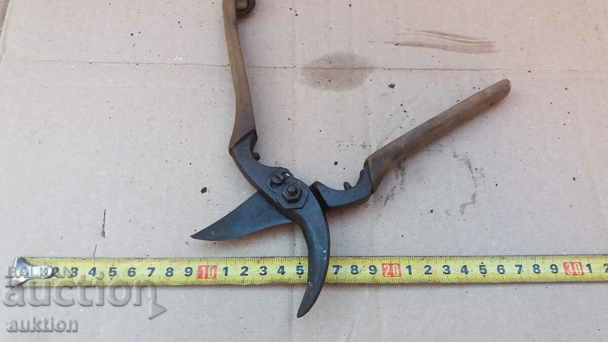 EXCELLENT VINEYARD SCISSORS - ROYAL TIME WITH MARKING - 6 EXCELLENT VINEYARD SCISSORS - ROYAL TIME WITH MARKING - 6