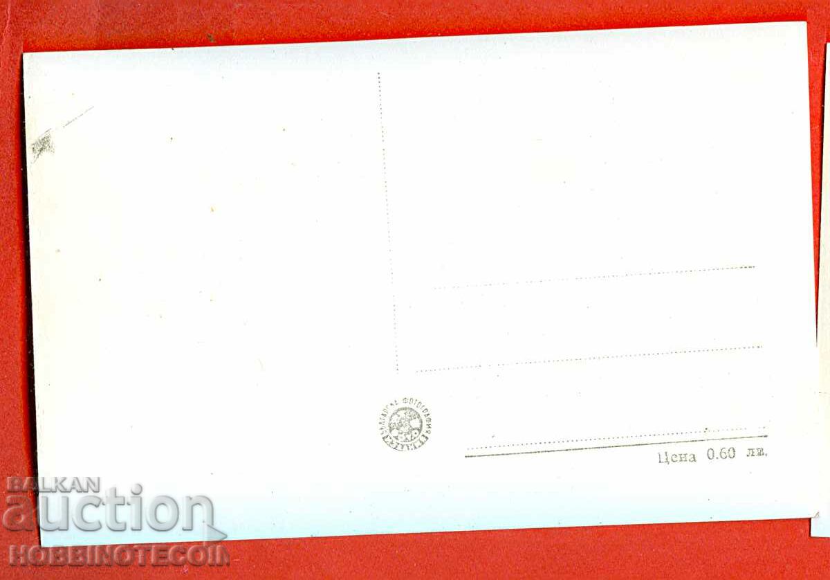 UNUSED CARD VITOSA HILZA TINTYAVA before 1962 - 2 with price 3.99 BGN | € 2.04 UNUSED CARD VITOSA HILZA TINTYAVA before 1962 - 2 with price 3.99 BGN | € 2.04