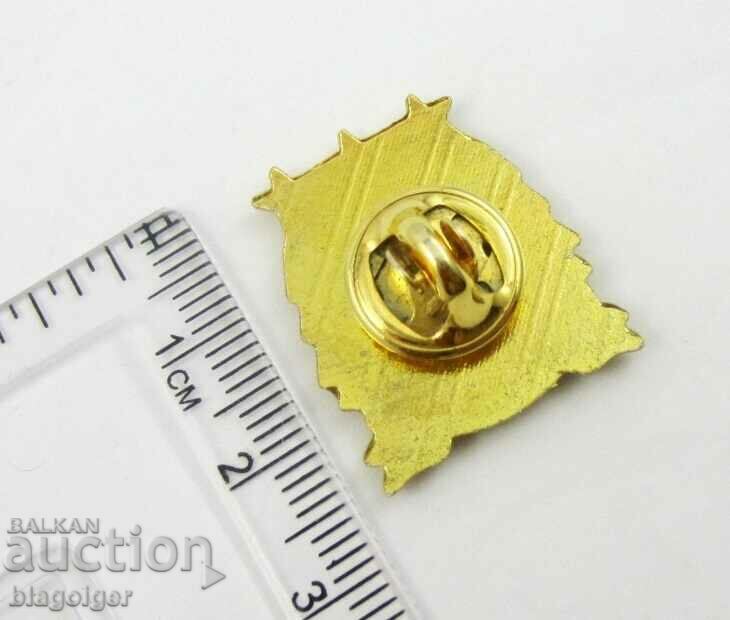 Auction English football-Manchester City Football Club Auction English football-Manchester City Football Club