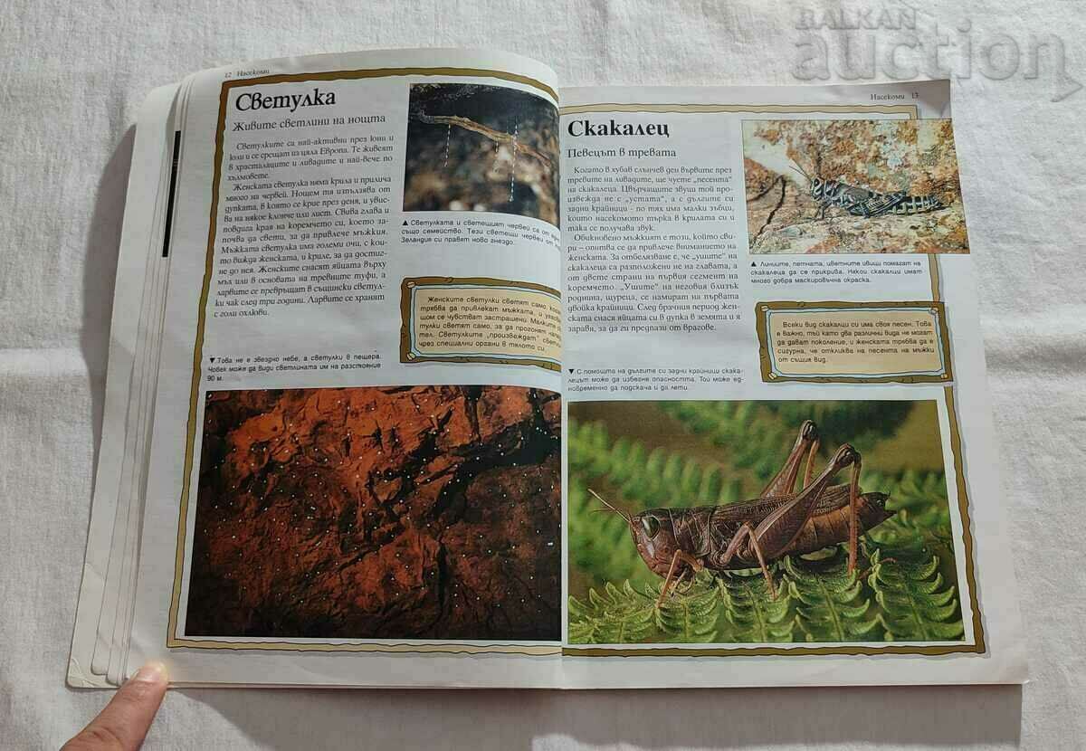 100 MOST AMAZING ANIMALS ON EARTH 1999 with price 7.00 BGN | € 3.58 100 MOST AMAZING ANIMALS ON EARTH 1999 with price 7.00 BGN | € 3.58