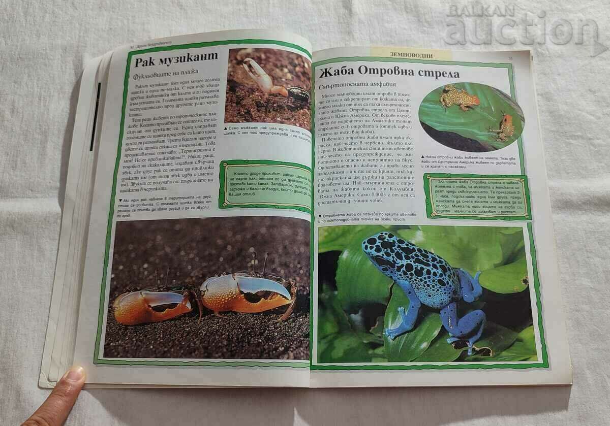 Delivery of 100 MOST AMAZING ANIMALS ON EARTH 1999 Delivery of 100 MOST AMAZING ANIMALS ON EARTH 1999