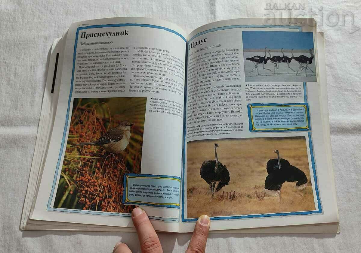 100 MOST AMAZING ANIMALS ON EARTH 1999 - 5 100 MOST AMAZING ANIMALS ON EARTH 1999 - 5