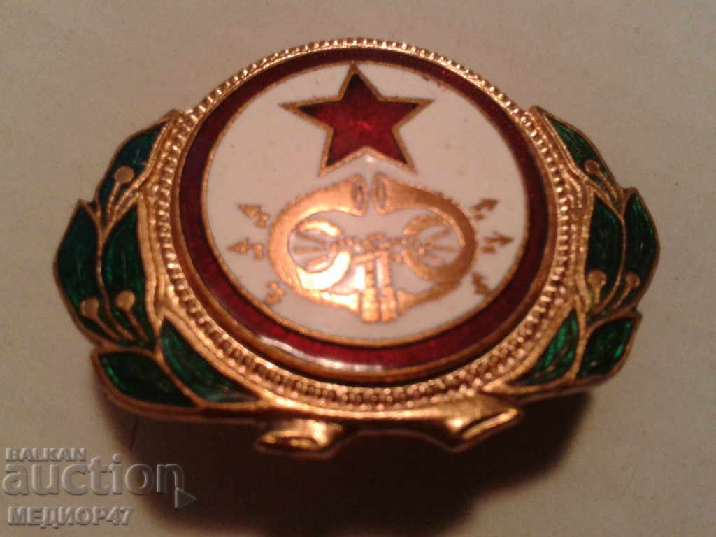 Cockade - 5 Cockade - 5